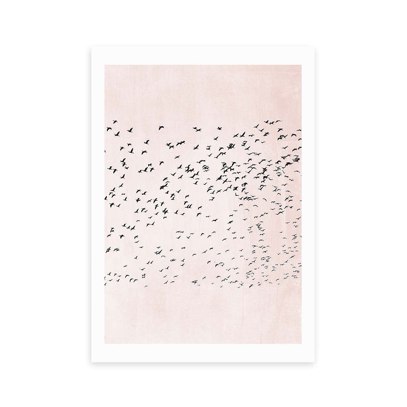 Carousel zoom image position 2 of 2