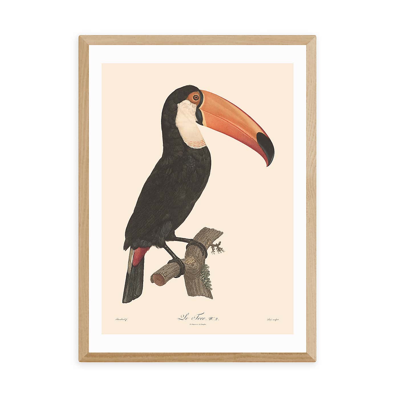 Carousel zoom image position 2 of 3