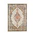 Traditional Multi Natural Rug Natural undefined