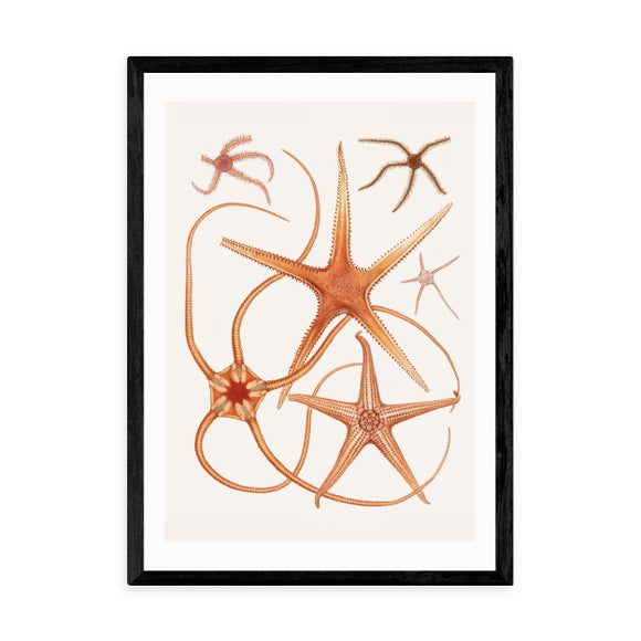 Carousel navigation image position 2 of 2