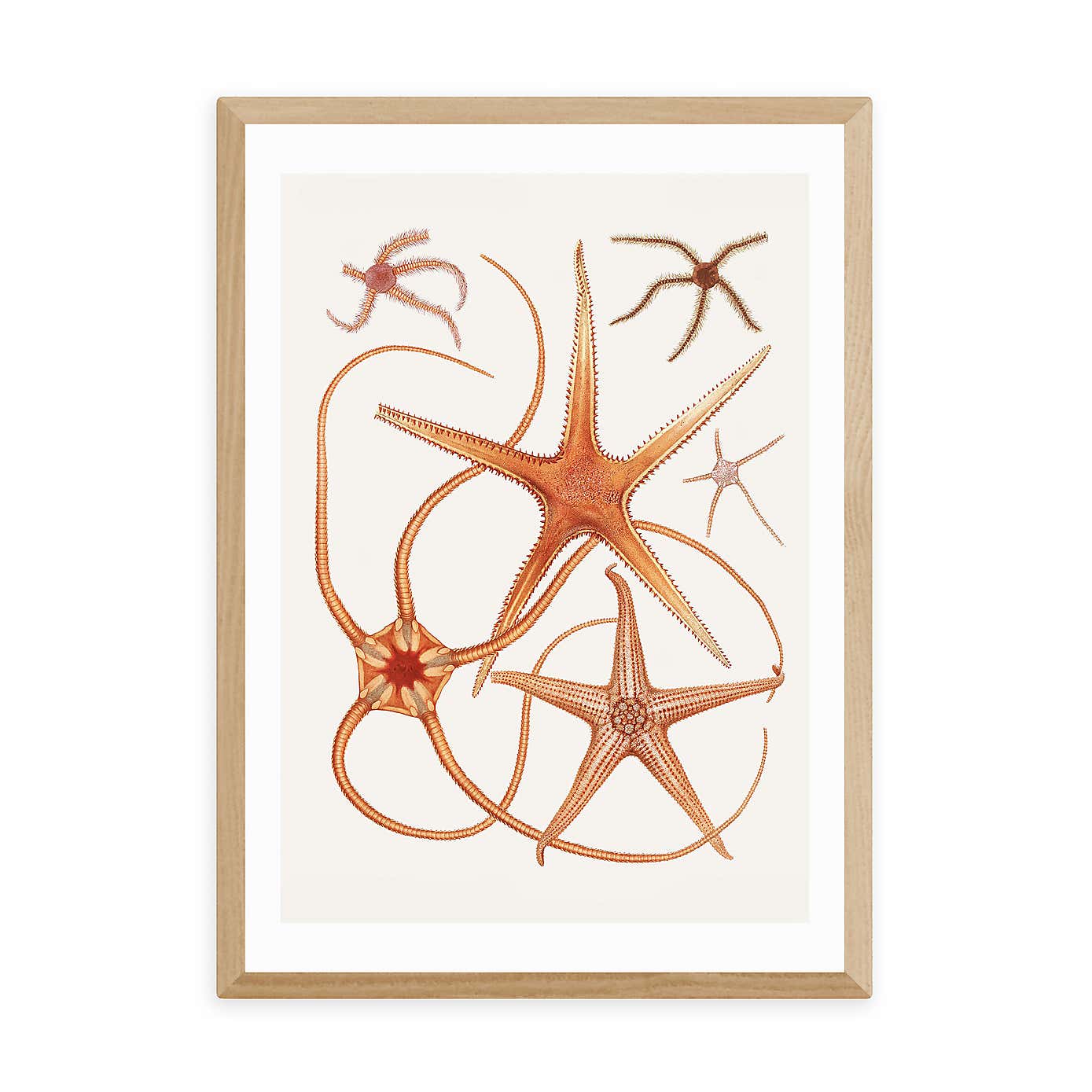 Carousel zoom image position 2 of 2