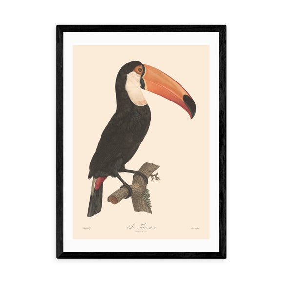 Photo 2 of East End Prints Toucan Print