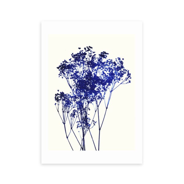 East End Prints Baby's Breath Print image 1 of 1