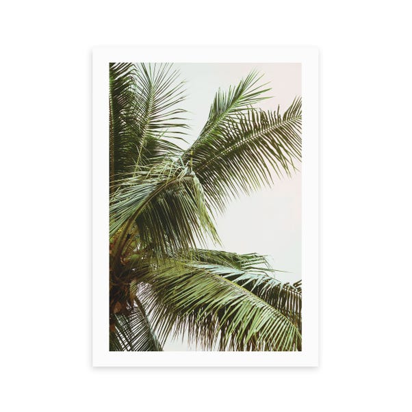 East End Prints The Palm Trees Above Me Print image 1 of 1