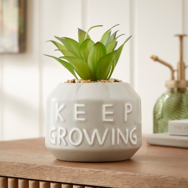 Artificial Succulent in Keep Growing Plant Pot image 1 of 3
