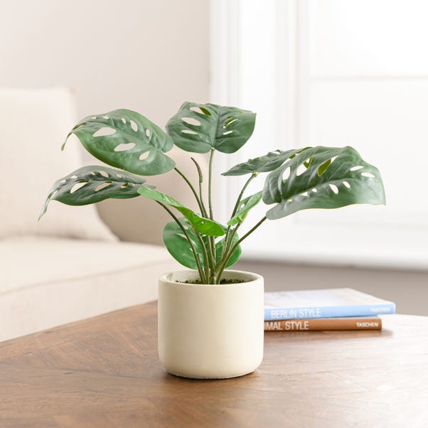 Artificial Monstera Plant in Cream Cement Plant Pot image 1 of 4