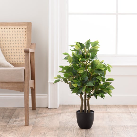 Artificial Ficus Tree In Black Plant Pot