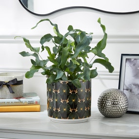 Luxe Cranes Emerald Plant Pot