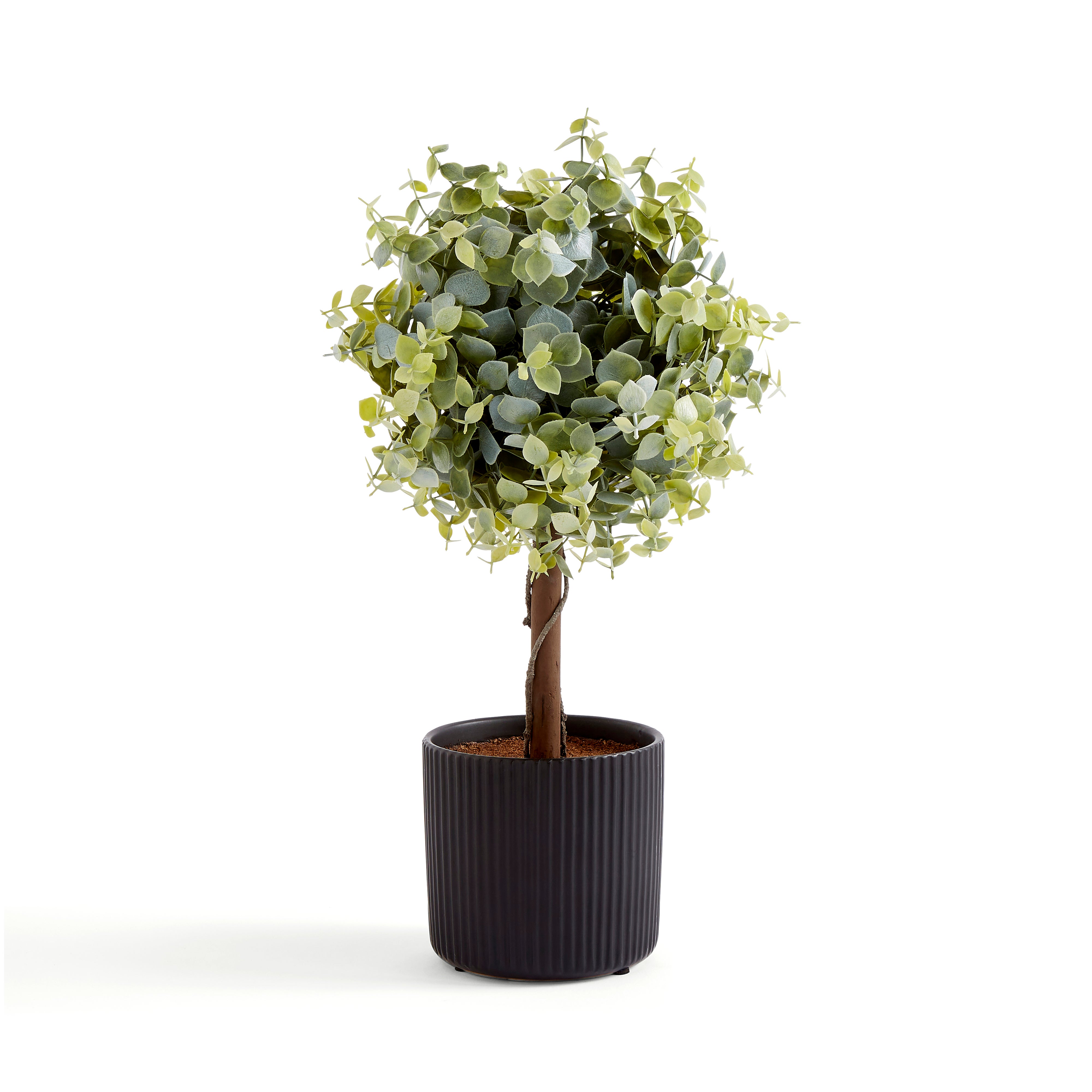 Artificial Small Eucalyptus Tree in Ribbed Black Plant Pot | Dunelm
