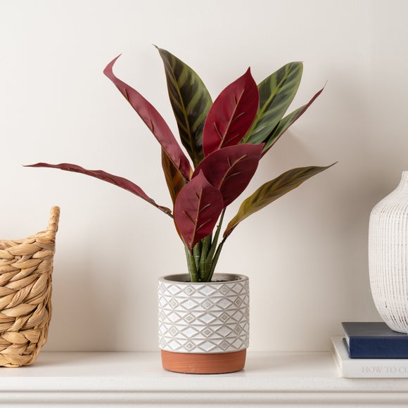 Artificial Maranta In White Ceramic Plant Pot