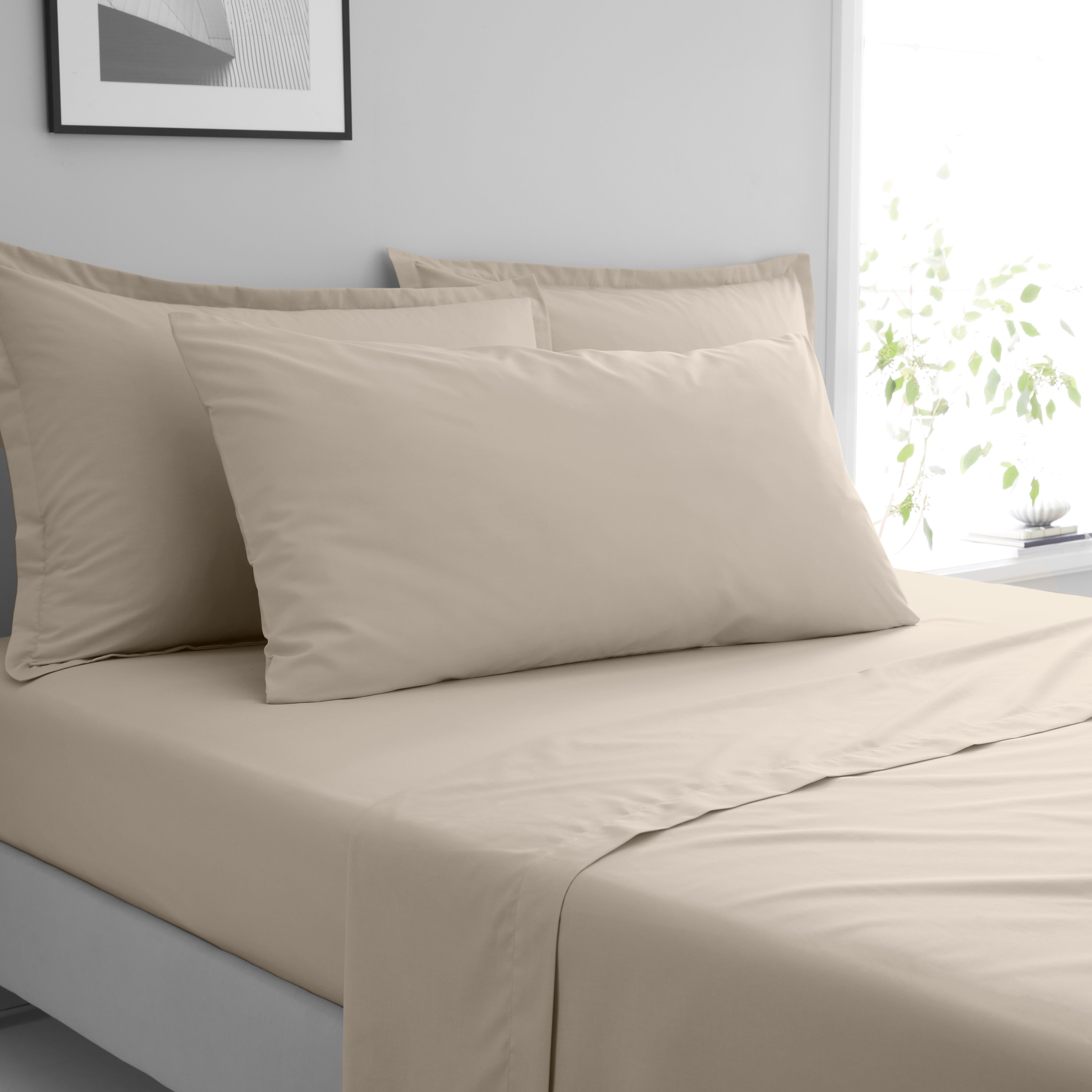 Pure Cotton Large Standard Pillowcase Pair Cream