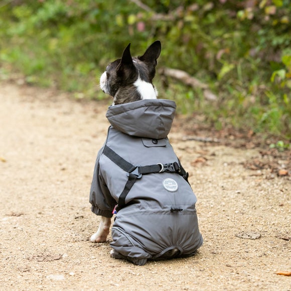 Dog coat store with lead attachment