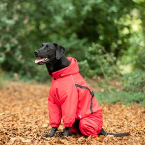 Hugo & Hudson Red Snowsuit Dog Coat