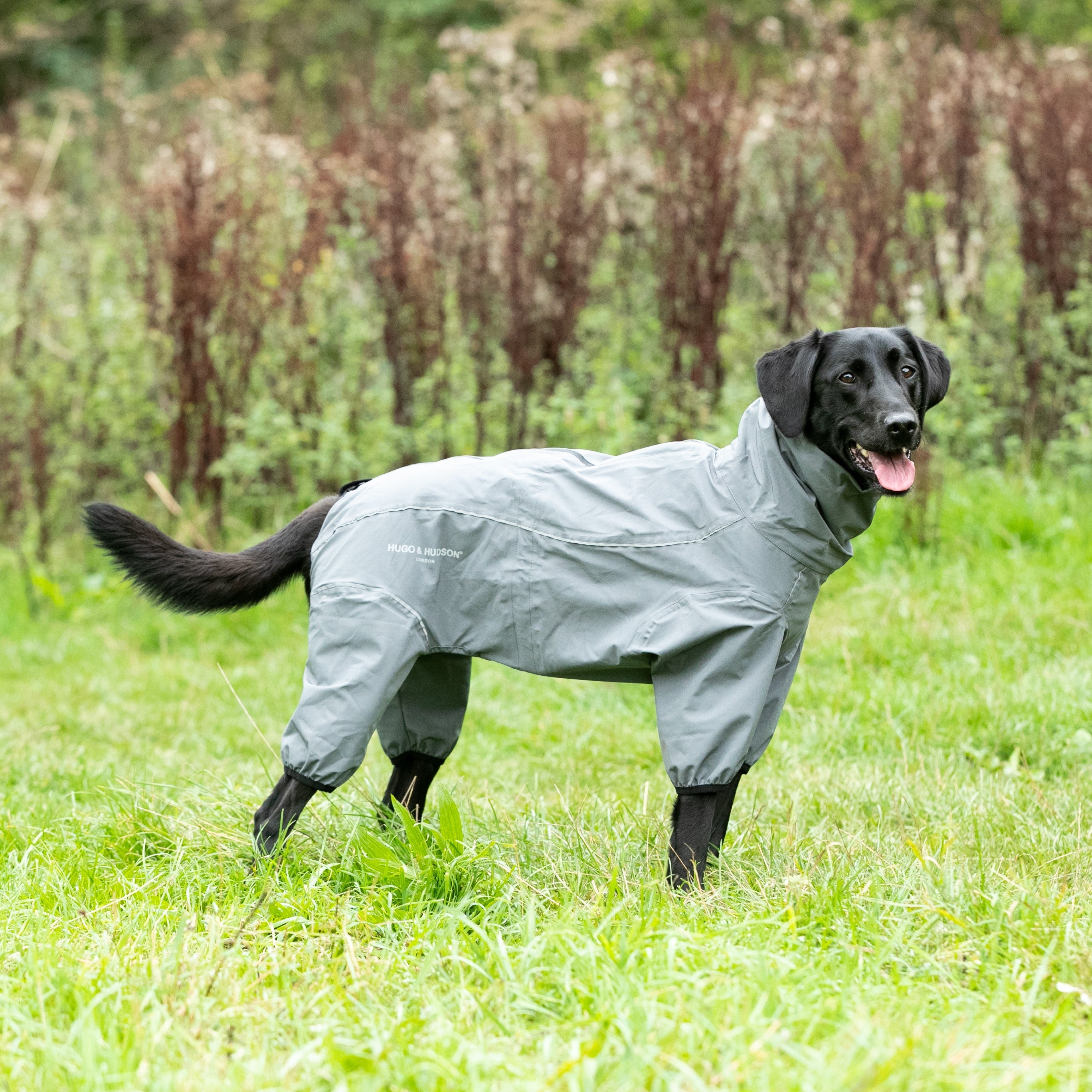 Hugo & Hudson Grey Protective Dog Coat Overalls Grey