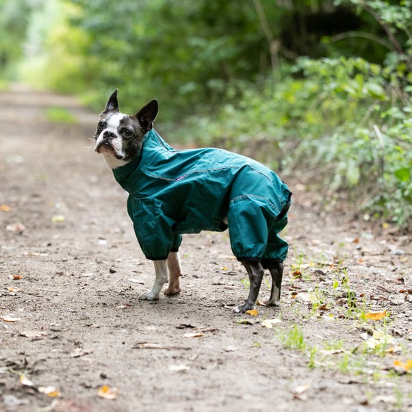 Hugo & Hudson Teal Protective Dog Coat Overalls image 1 of 7