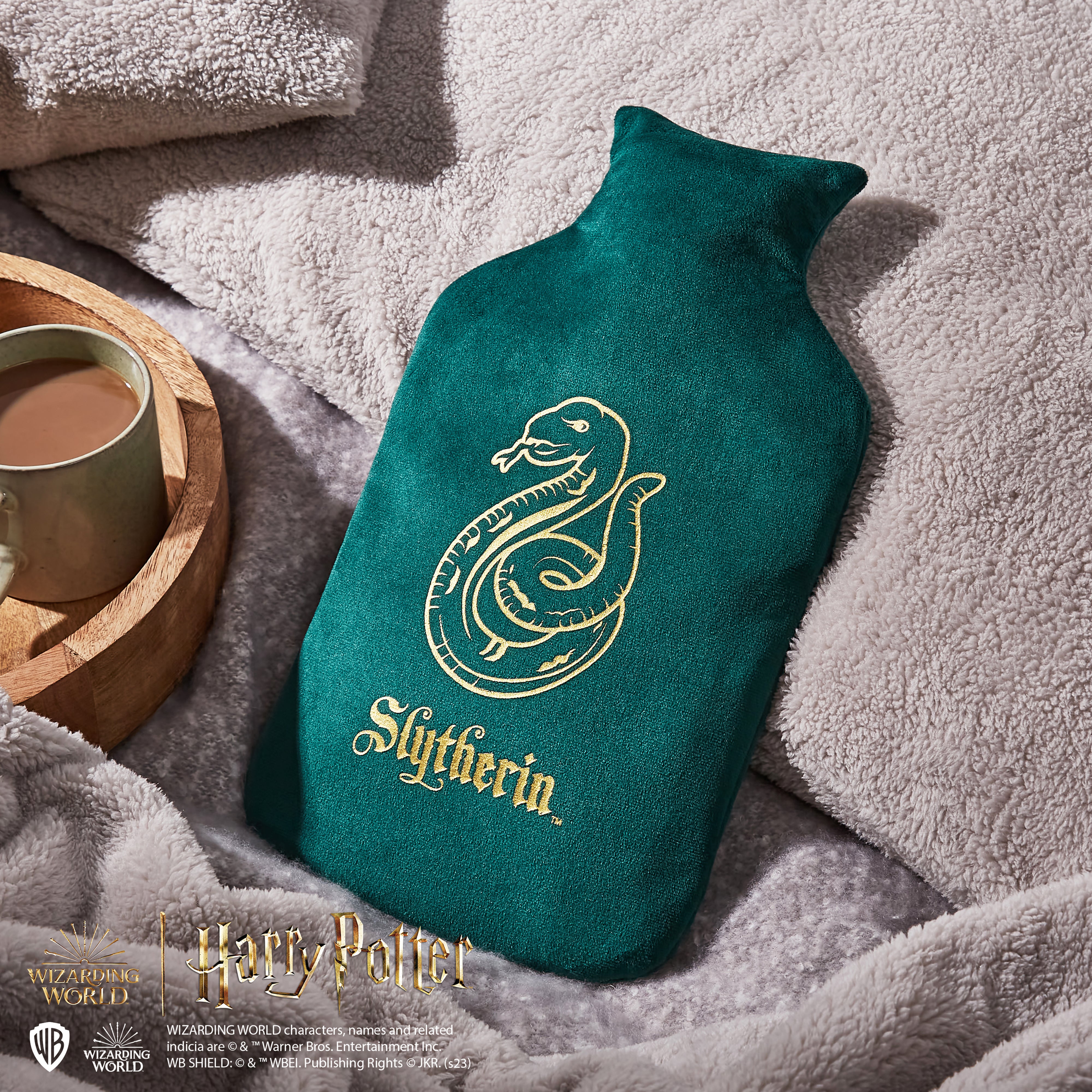 Warner bros Bottle Slytherin 650ml