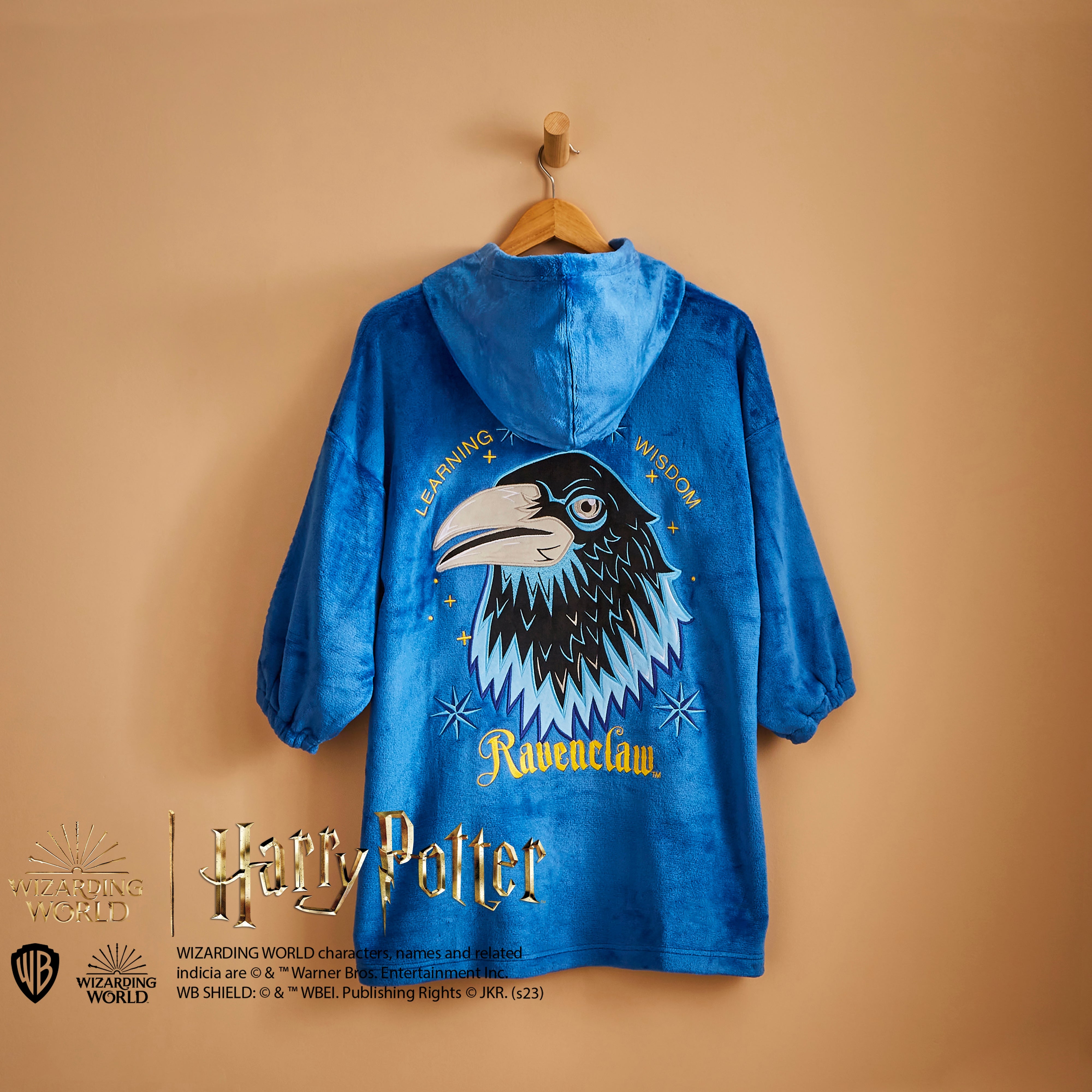 Ravenclaw - Harry Potter Kids