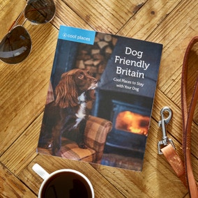Cool Places Dog Friendly Britain Book
