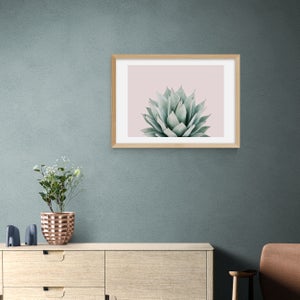 East End Prints Blush Succulent Print