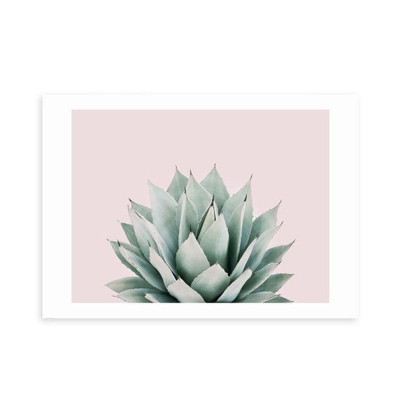 Photo 2 of East End Prints Blush Succulent Print Photo 2 of East End Prints Blush Succulent Print