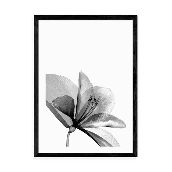 Carousel navigation image position 2 of 2