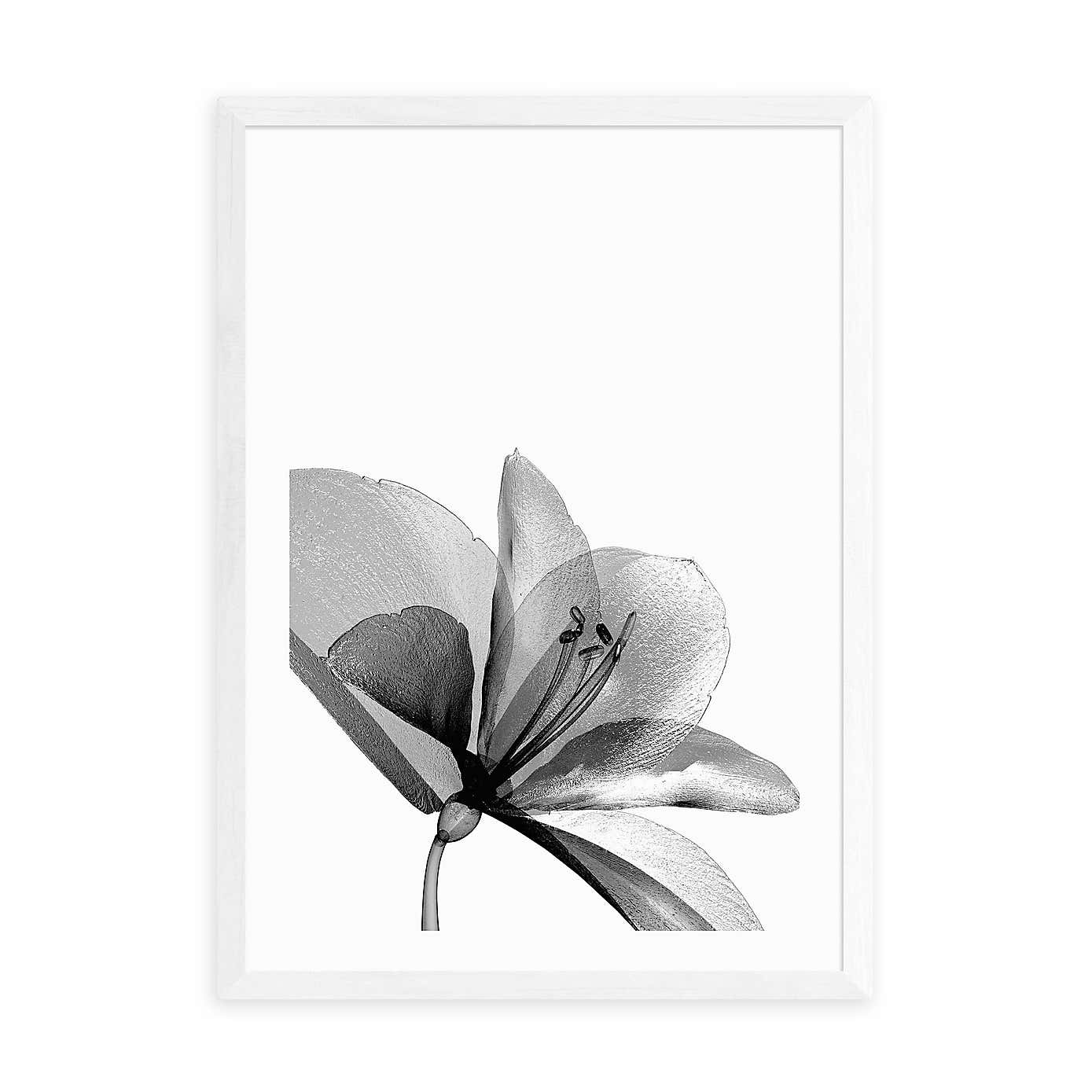 Carousel zoom image position 2 of 2