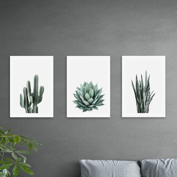 Set of 3 East End Prints Succulent Gallery Wall Prints image 1 of 2