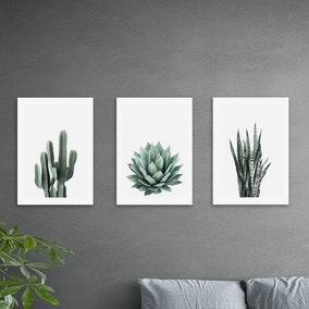 Set of 3 East End Prints Succulent Gallery Wall Prints