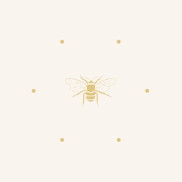 Carousel navigation image position 5 of 5