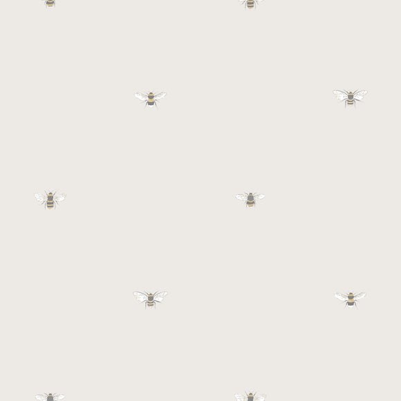 Carousel navigation image position 2 of 5