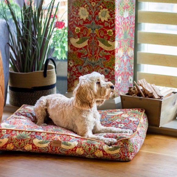 Big shop dog mattress