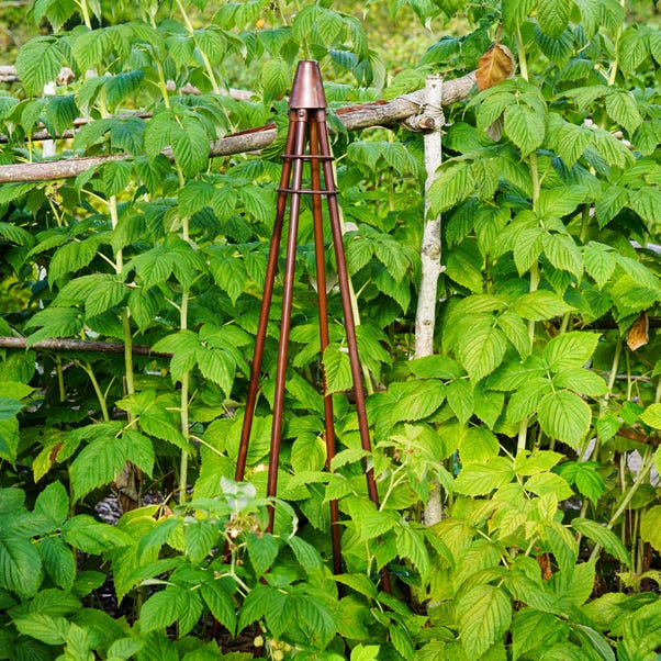 Outdoor Plant Support Tripod Climber image 1 of 6