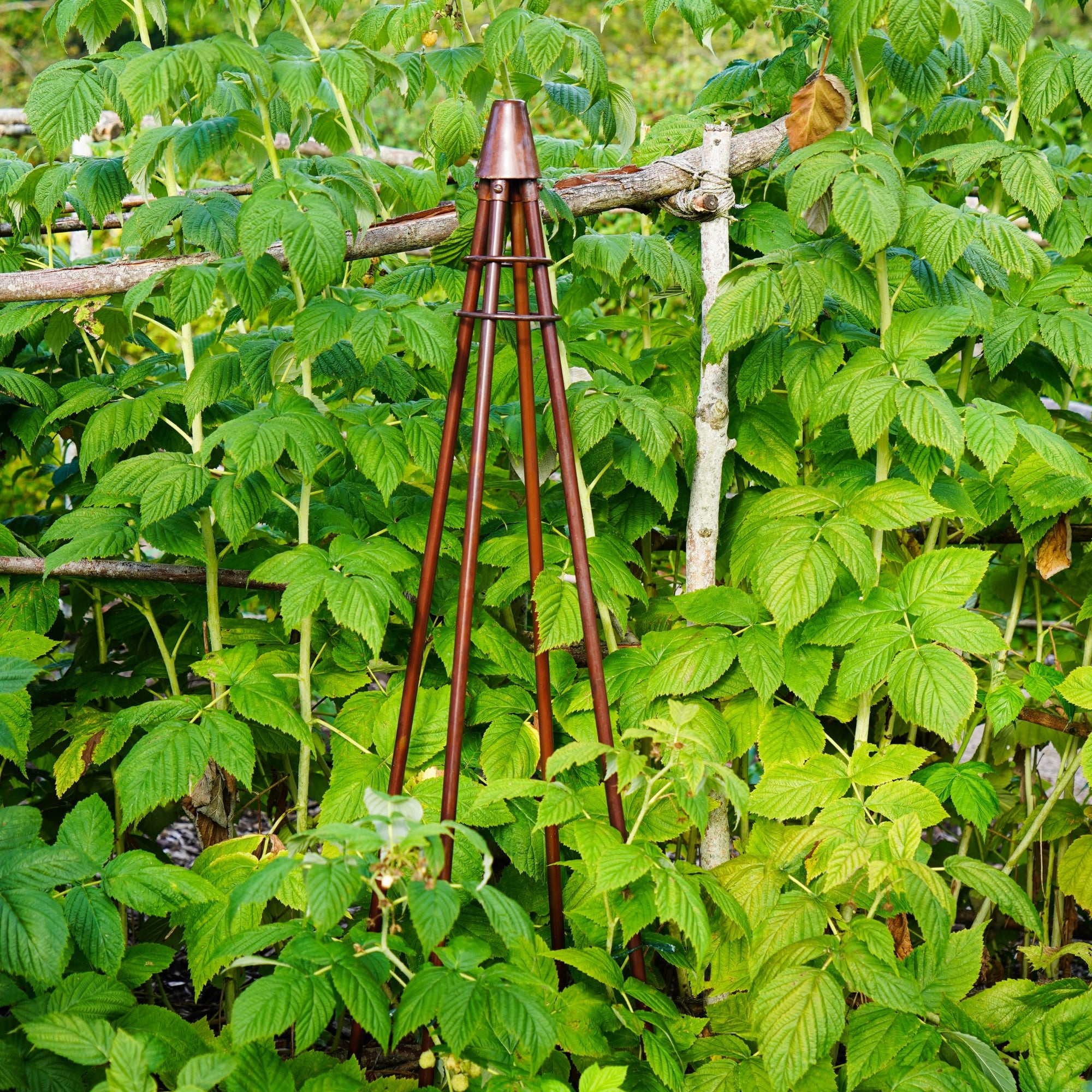 Outdoor Plant Support Tripod Climber