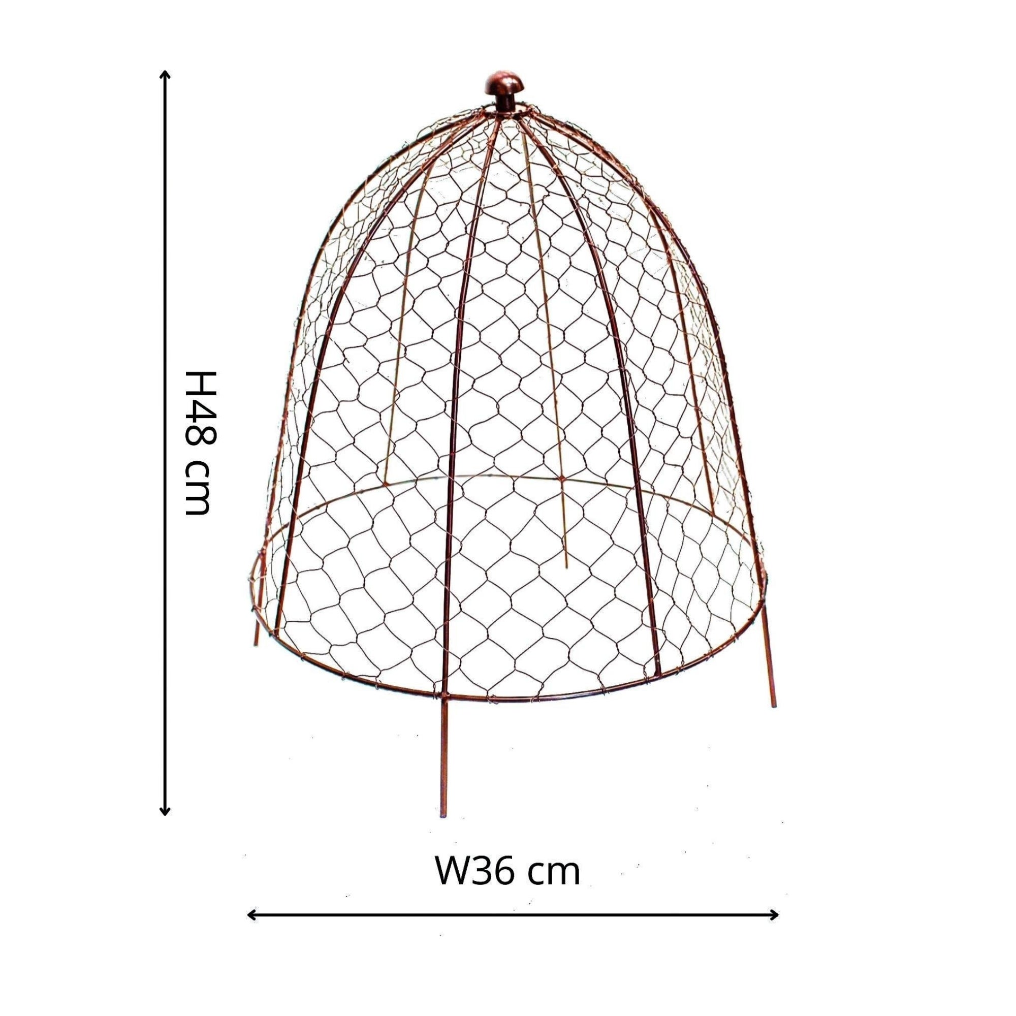 Carousel navigation image position 5 of 6