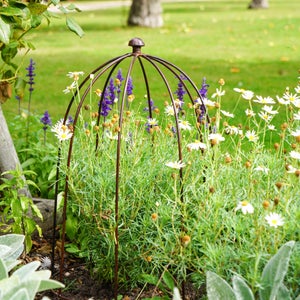 Outdoor Plant Support