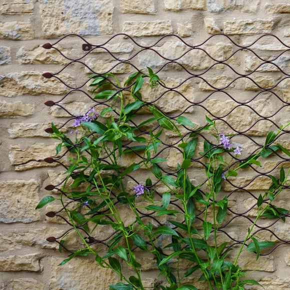 Outdoor Trellis Dunelm