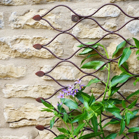 Outdoor Trellis Dunelm