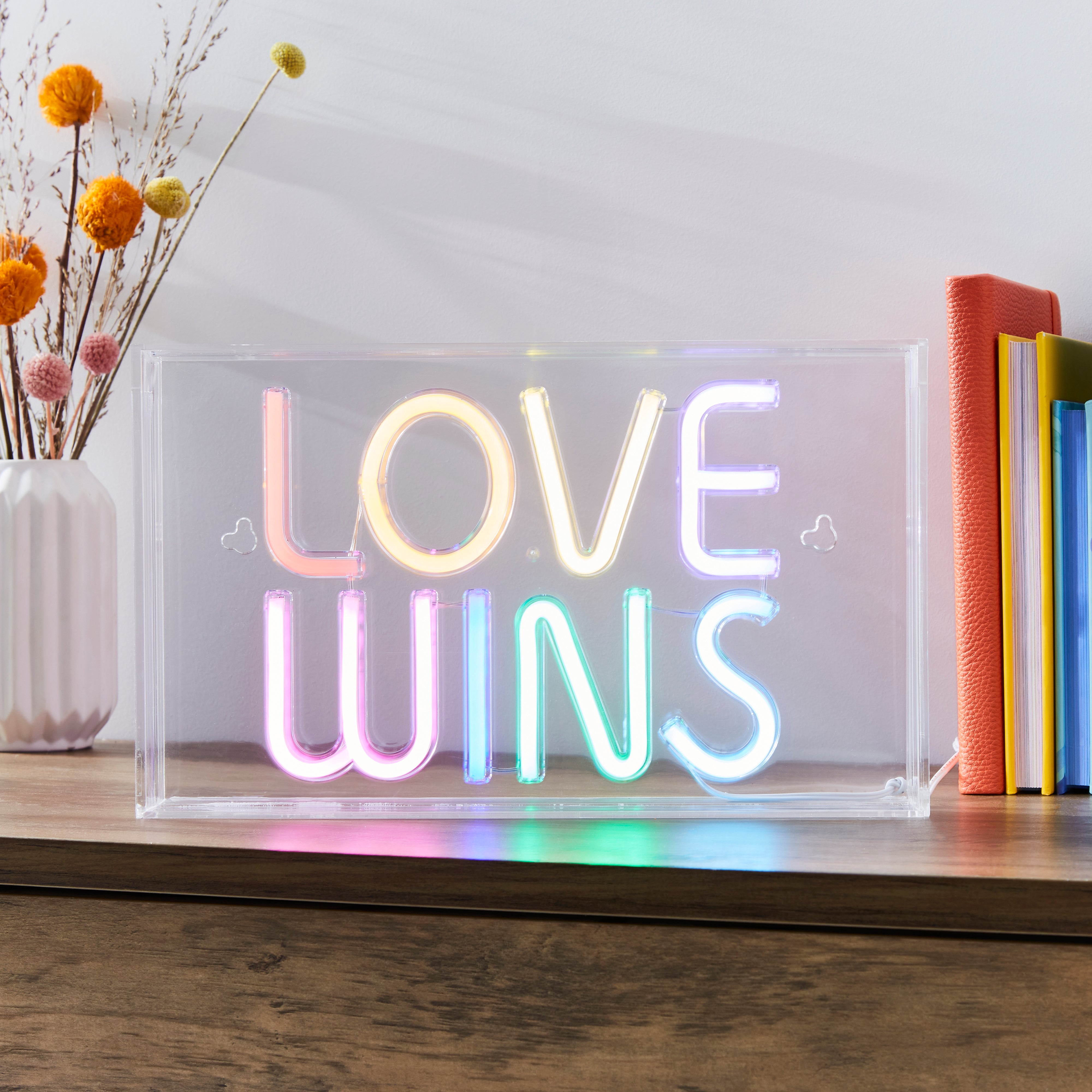 Love Wins Neon Sign