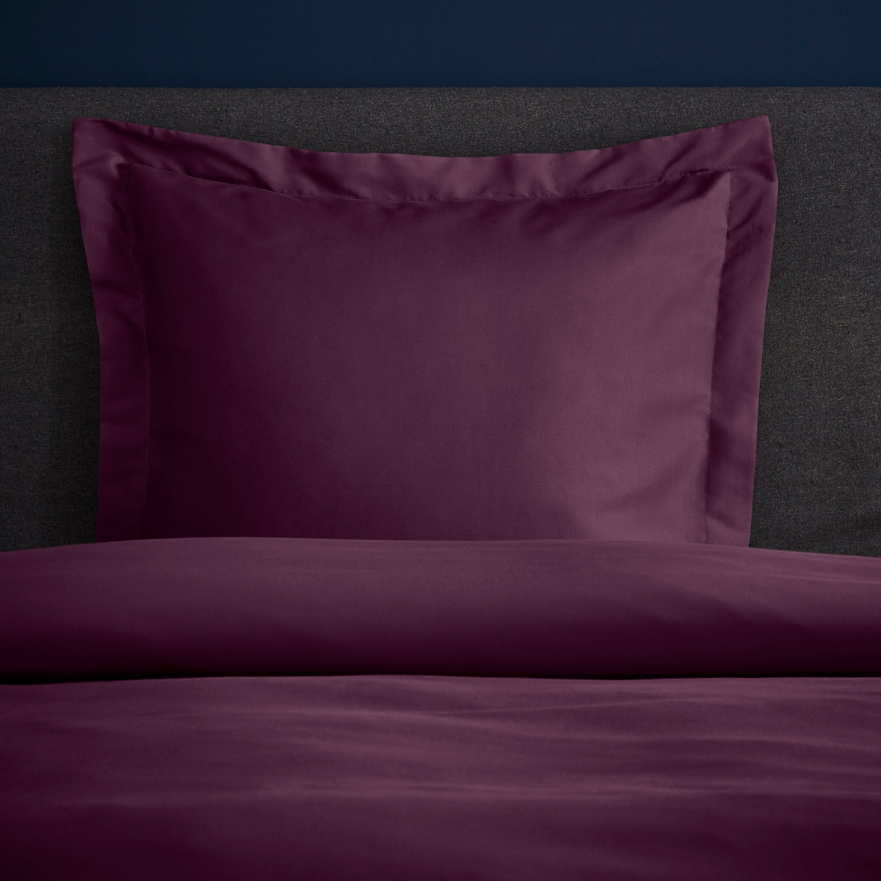 Image of Fogarty Soft Touch Plum Continental Square Pillowcase Plum Purple