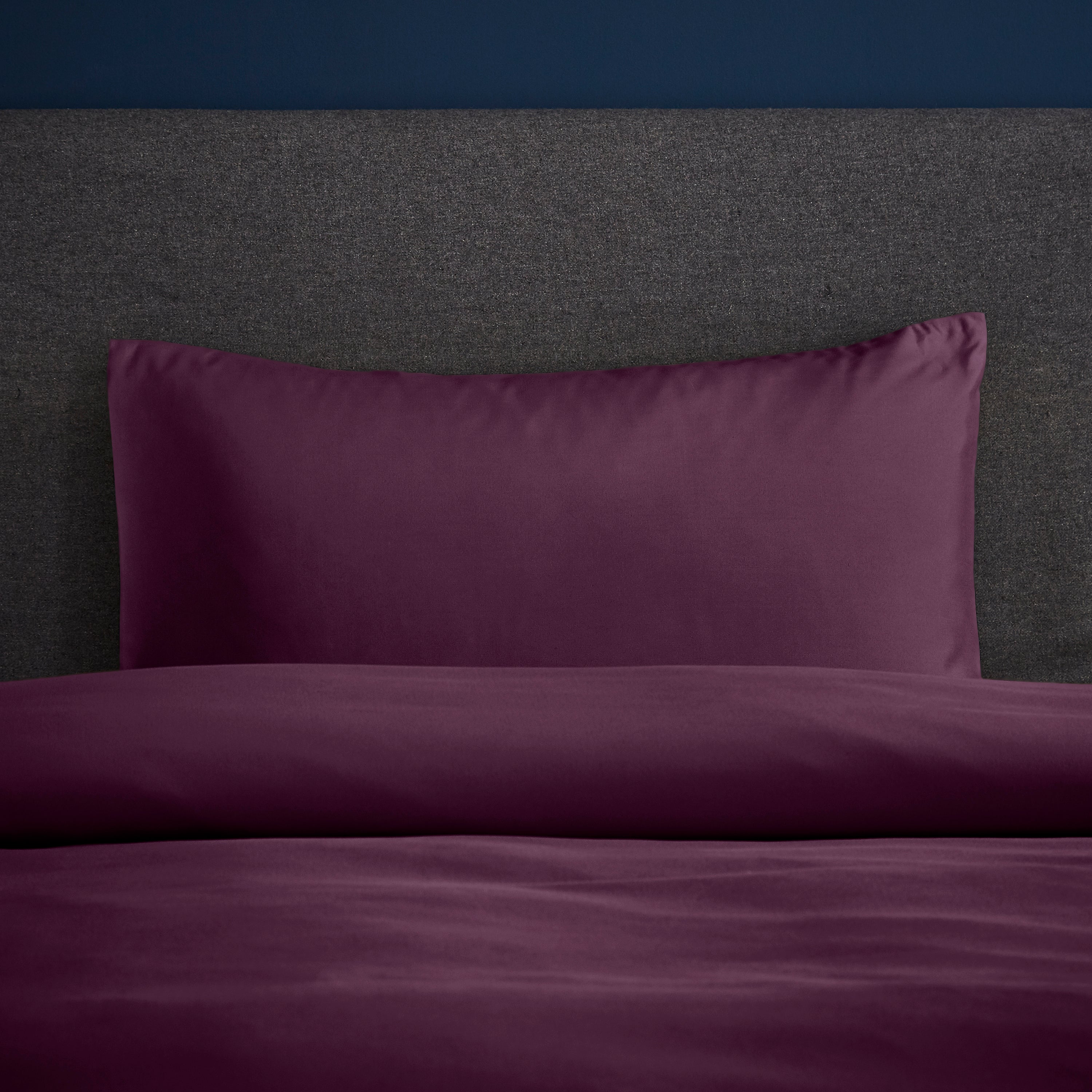 Image of Fogarty Soft Touch Plum Standard Pillowcase Pair Plum Purple