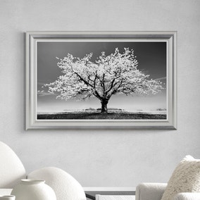 Blossom Tree White by Peter Wey Framed Print