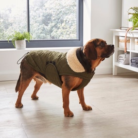 Water Resistant Green Dog Jacket