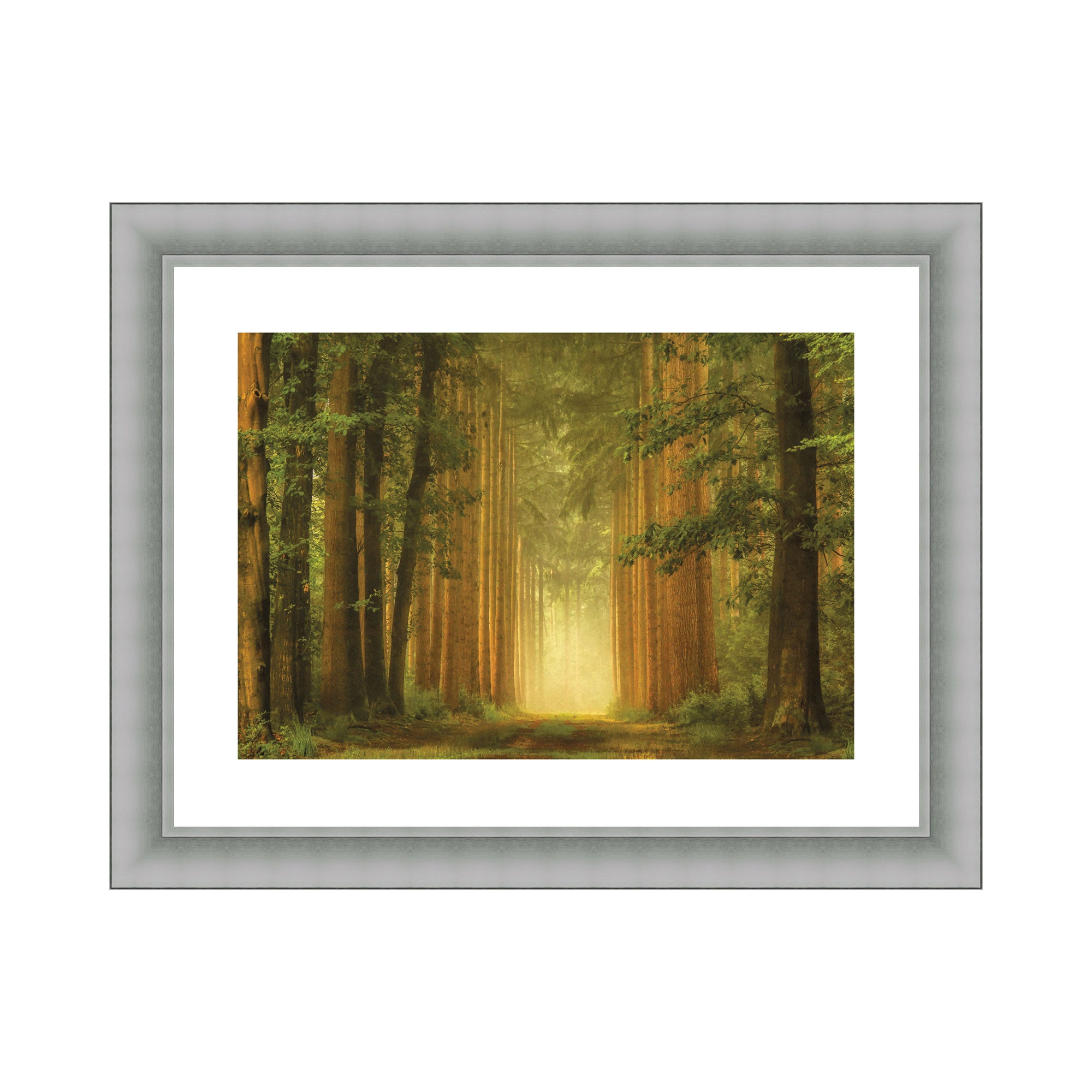 The Art Group The Portal Framed Print | Dunelm