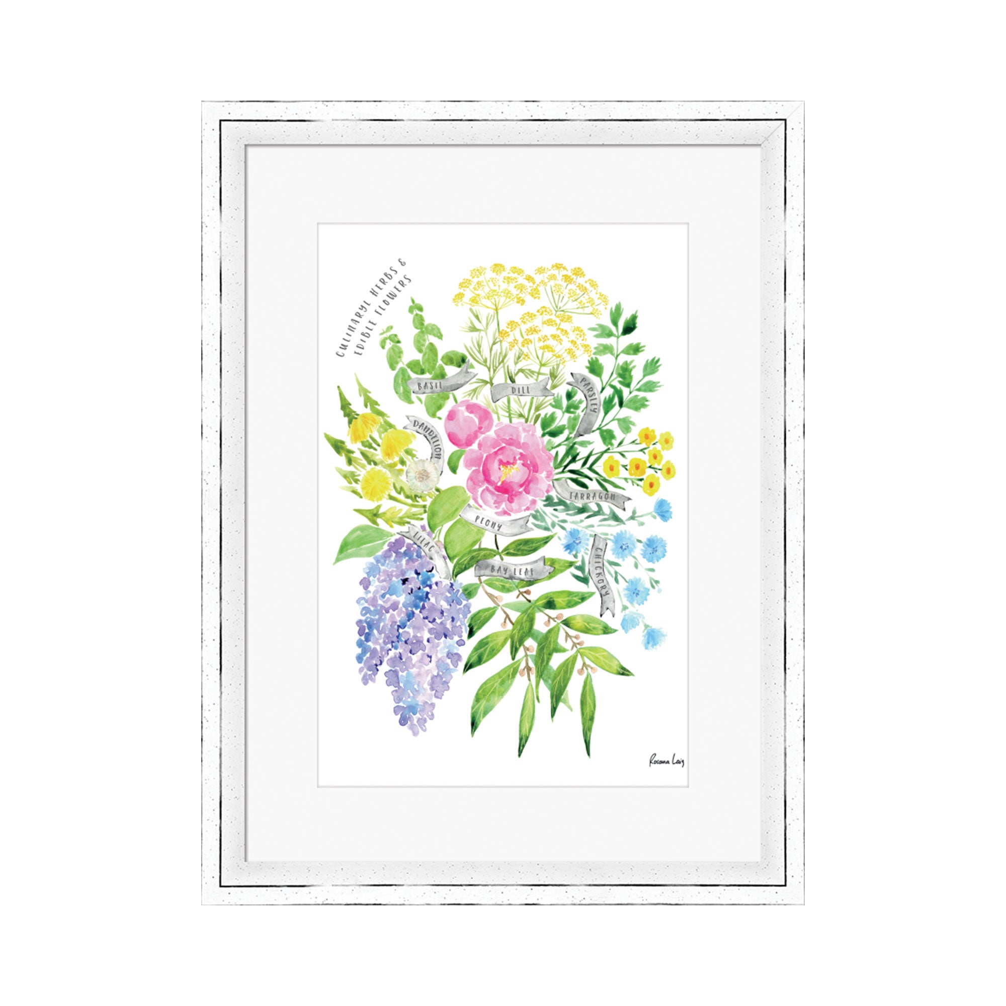 The Art Group Culinary Herbs & Edible Flowers Watercolour Bouquet Framed Print