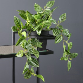 Artificial Green Trailing Plant in Black Plant Pot