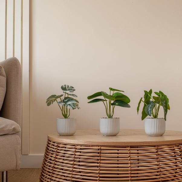 Artificial Set of 3 Plants in Ribbed Ceramic Plant Pot image 1 of 4