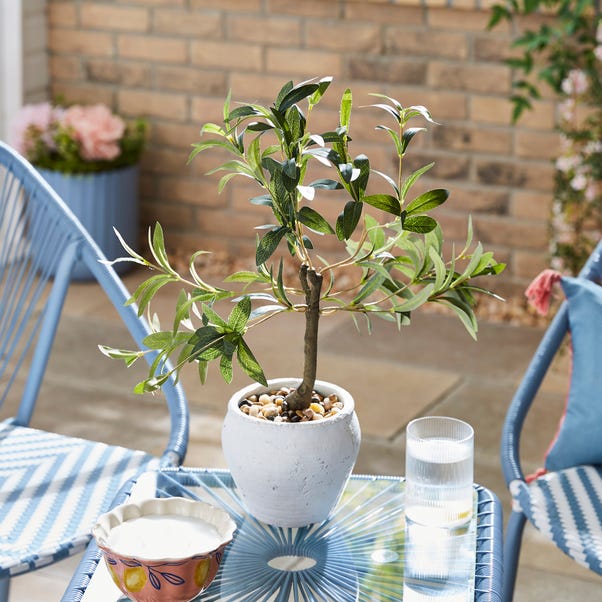 Artificial Olive Tree in White Cement Pot image 1 of 2