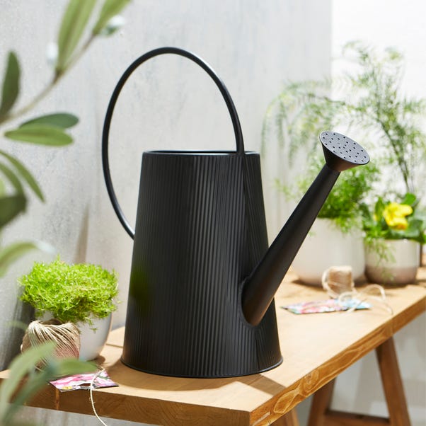 Elements Black Iron Watering Can image 1 of 2