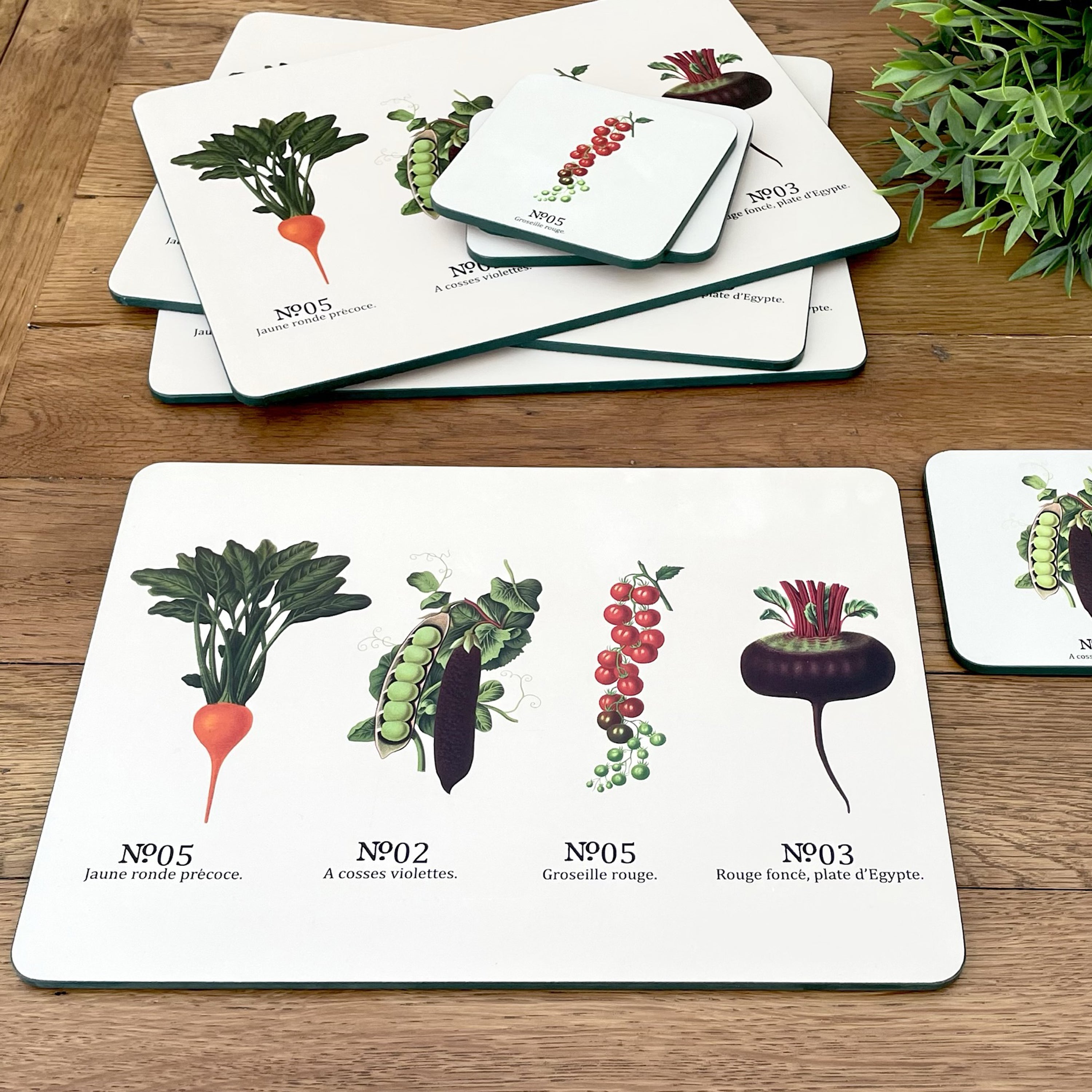 RHS by Dexam Benary Vegetables Set of 4 Placemats