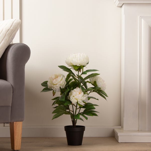 Artificial Cream Peony Plant in Black Plant Pot image 1 of 2
